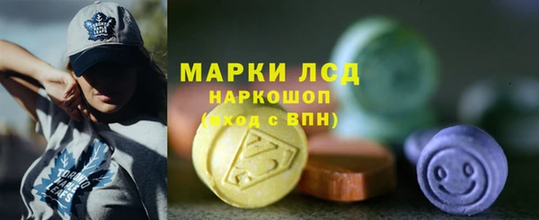 сатива Пересвет