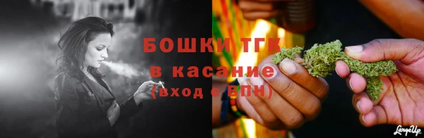 сатива Пересвет