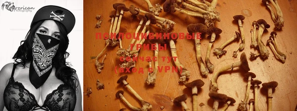 мескалин Осташков