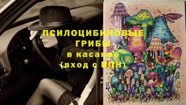 mix Осинники