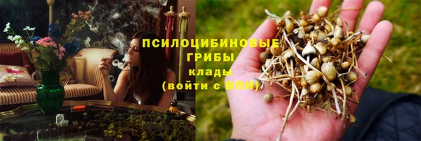 мескалин Осташков