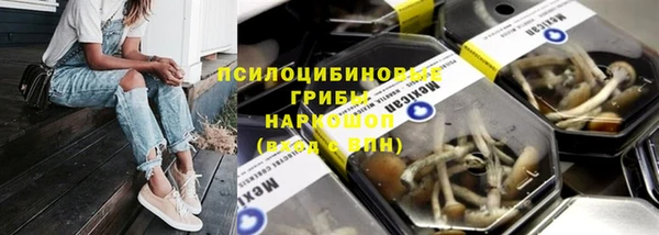 сатива Пересвет