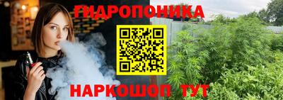 крисы Балаково