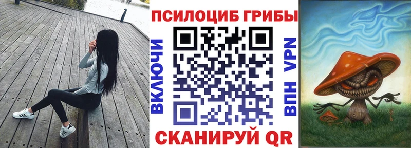 где купить Белогорск Псилоцибиновые грибы GOLDEN TEACHER