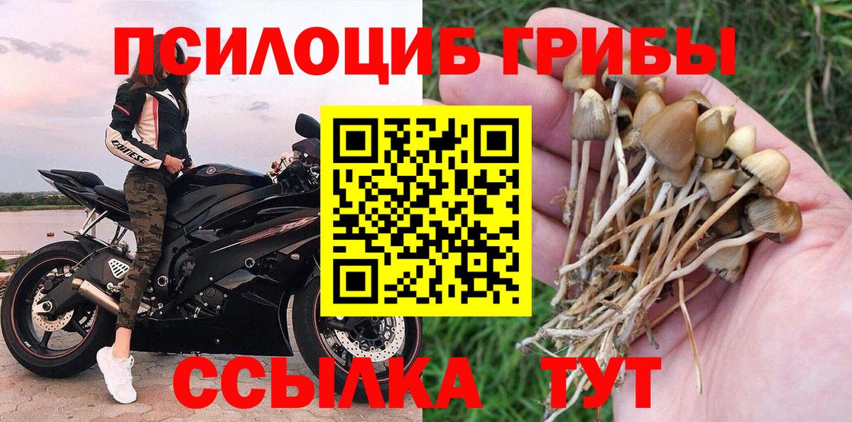 Псилоцибиновые грибы прущие грибы  Белогорск 