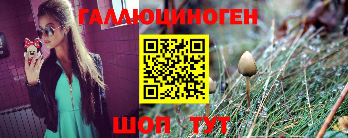 Псилоцибиновые грибы мицелий Белогорск